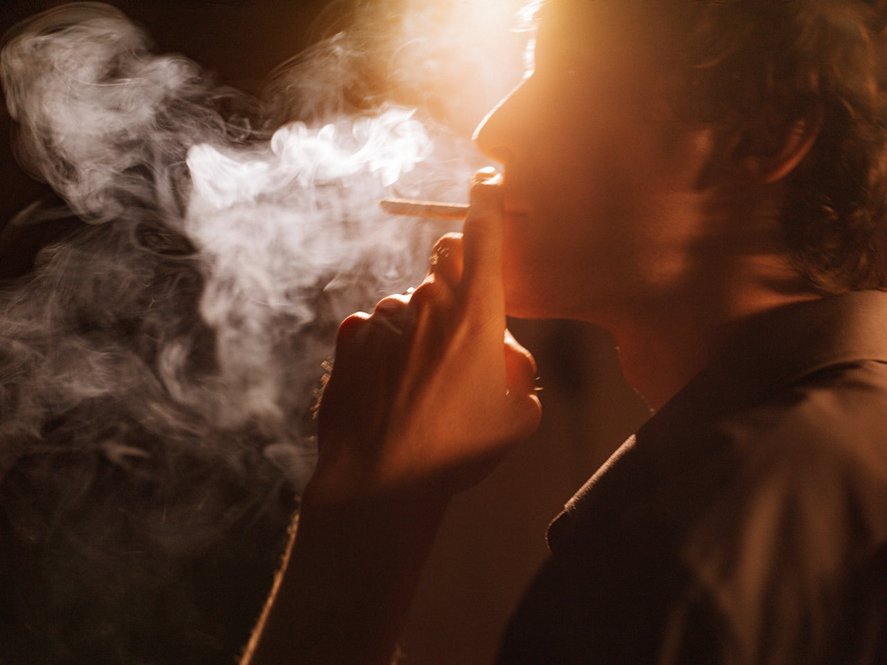 cigarette identifier online The Return Of Smoking cigarette identifier online The Return Of Smoking