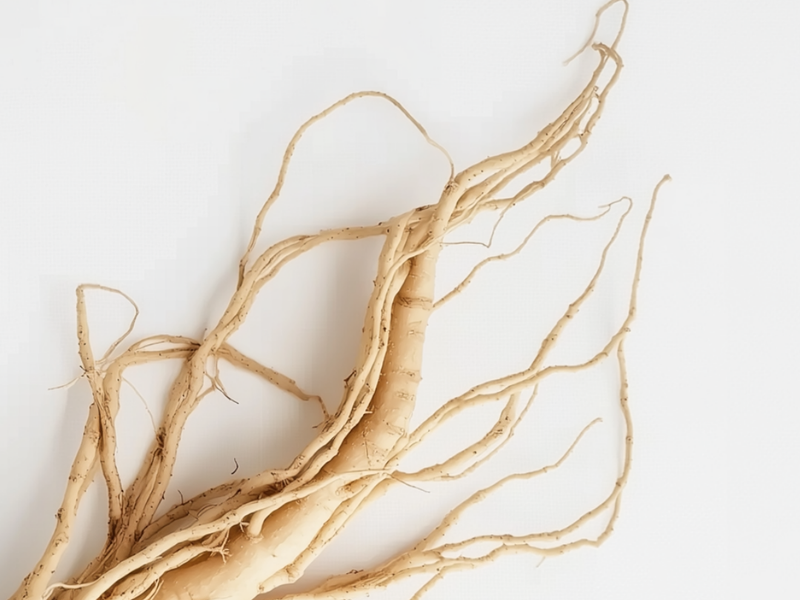 Korean Ginseng