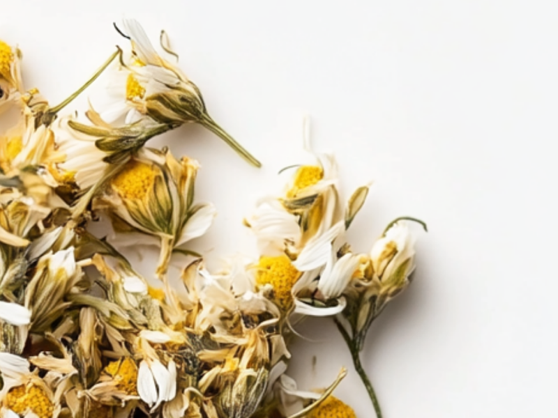 Chamomile