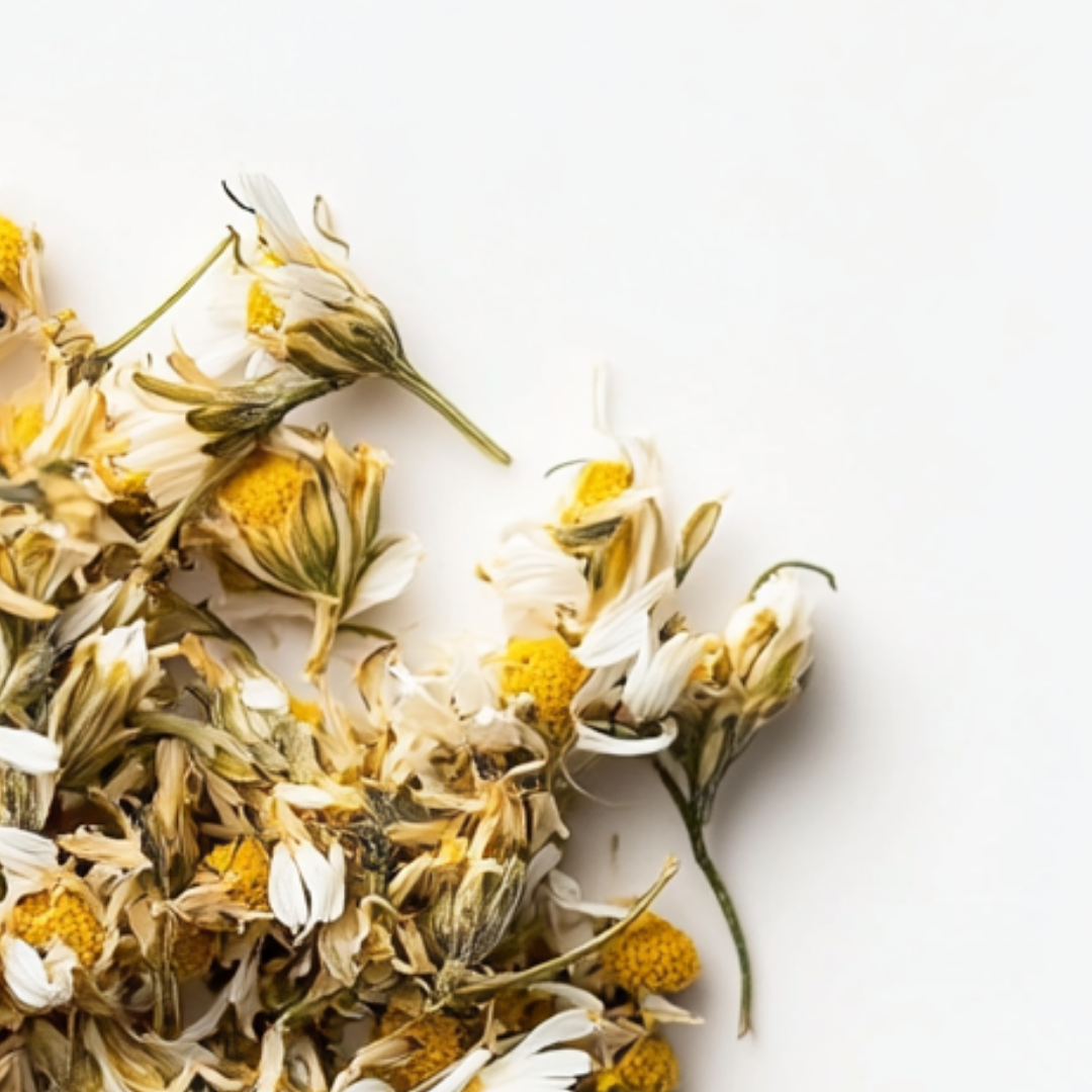 Chamomile
