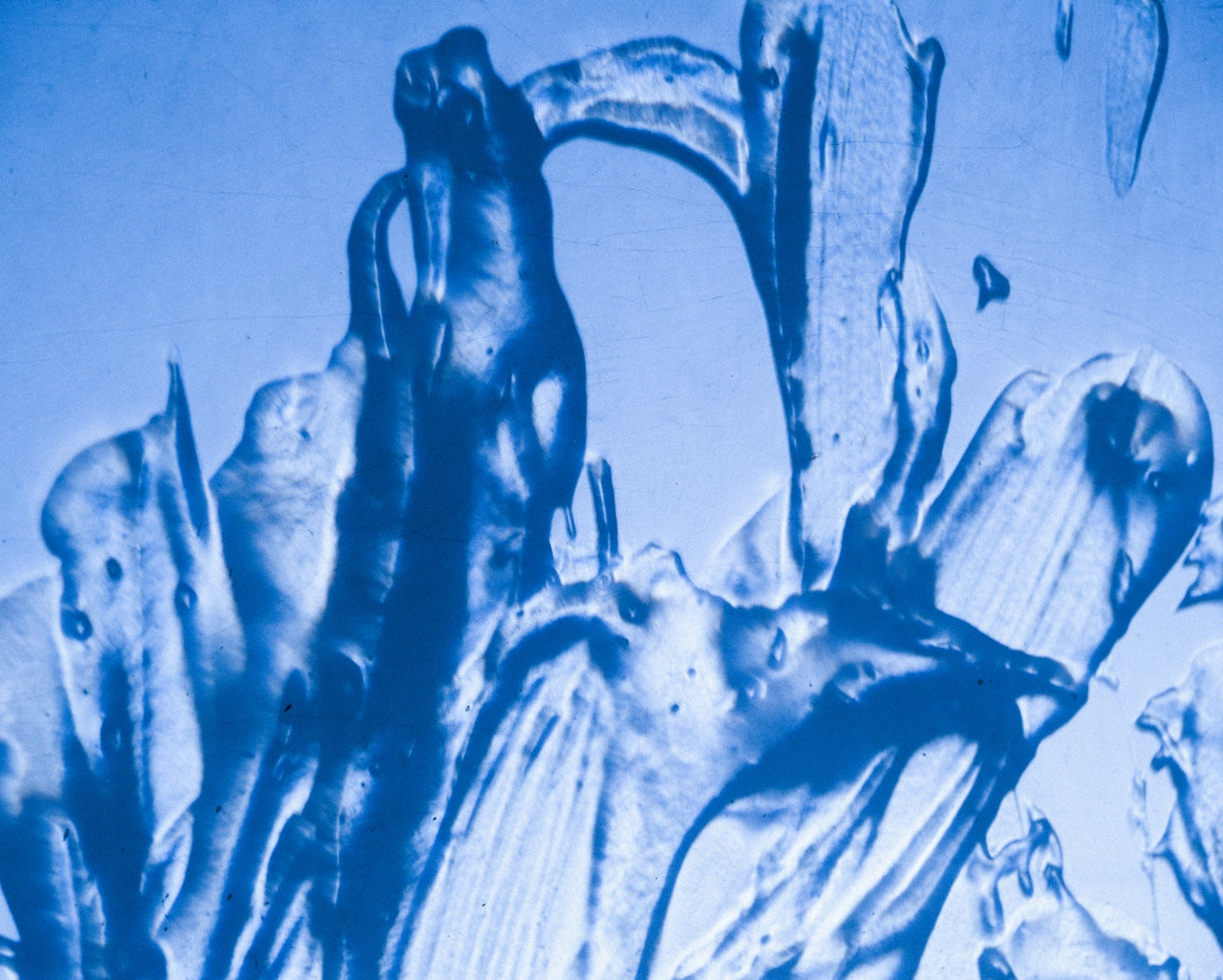 The Misuse of Methylene Blue Supplements — What the Evidence Actually Says