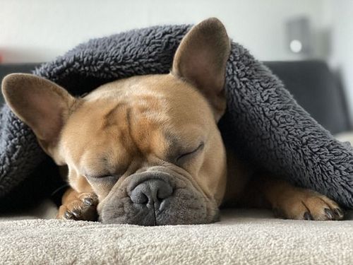 Have You Ever Wondered Why We Call It Beauty Sleep?