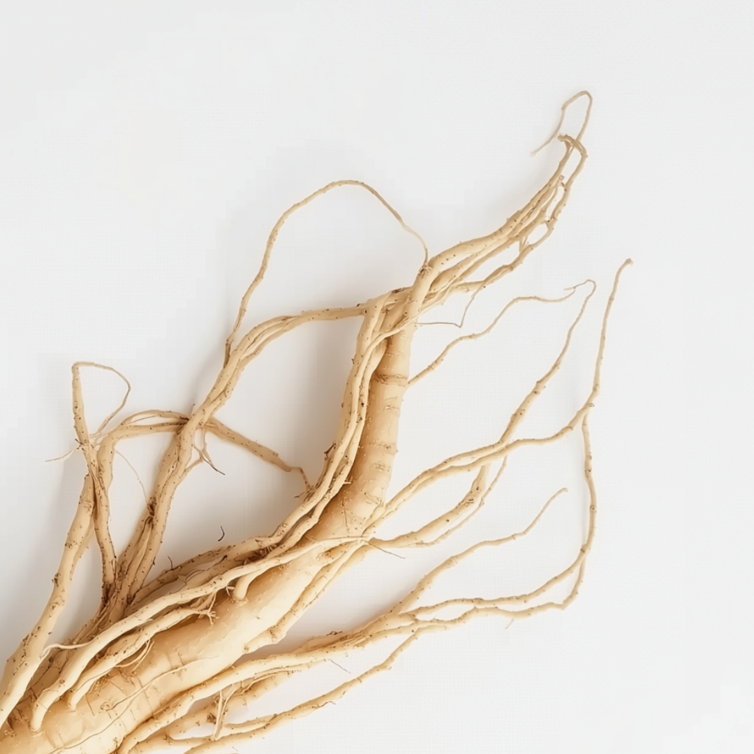 Korean Ginseng