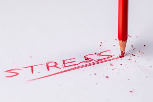 Stress and Skin: A Complex Relationship